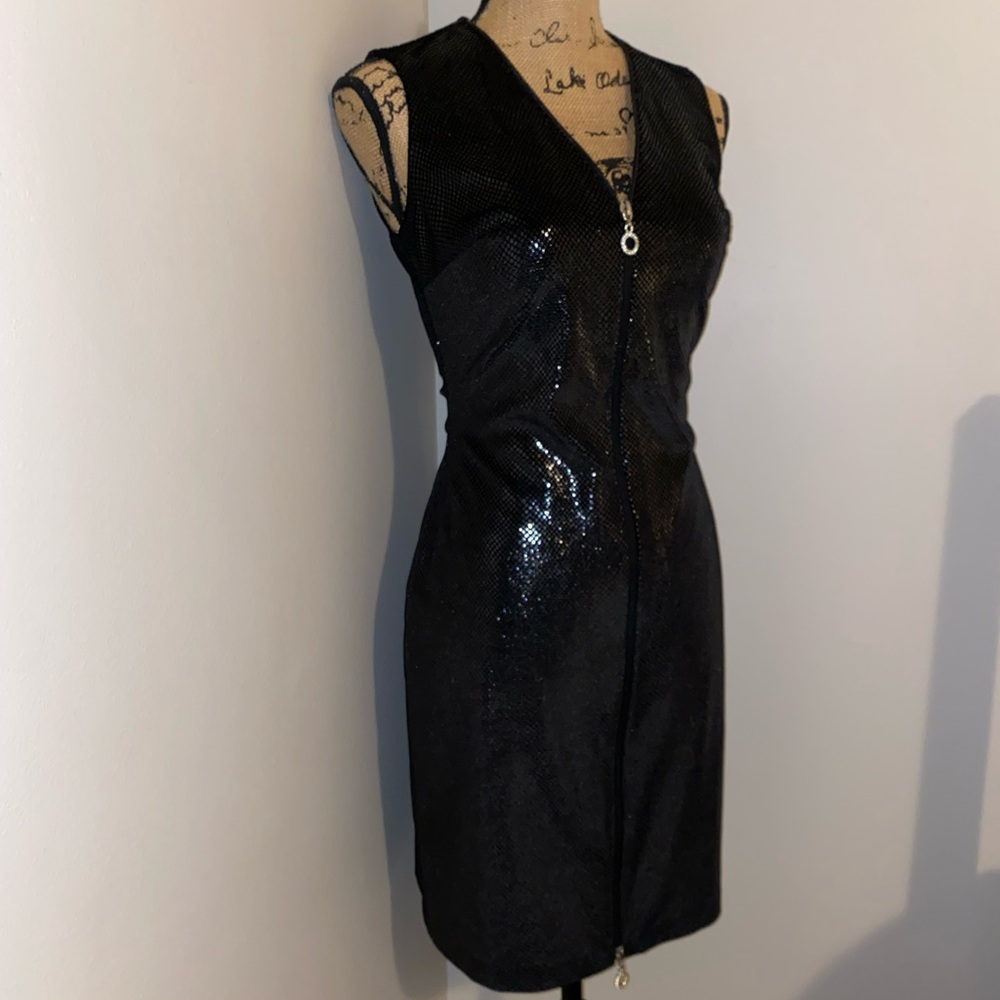 Janine London Paris New York Sparkle Dress